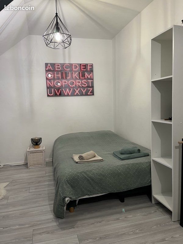 Appartement à louer, 25m², Vieux-Thann