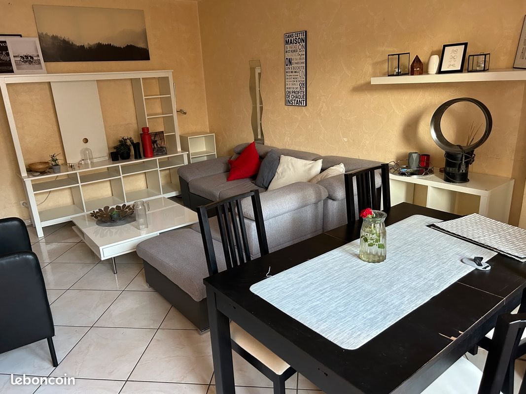 Appartement à louer, 49m², Lyon 7ème