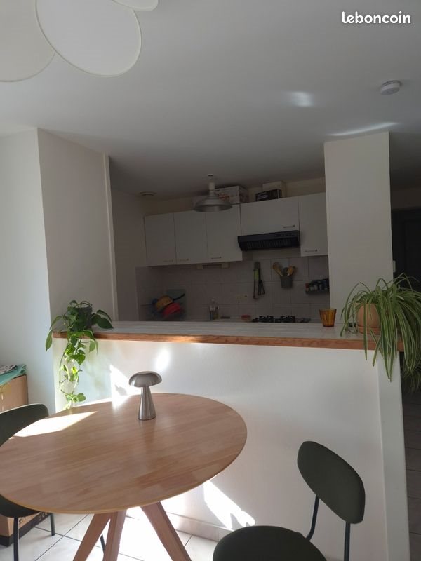 Appartement à louer, 50m², Chambéry