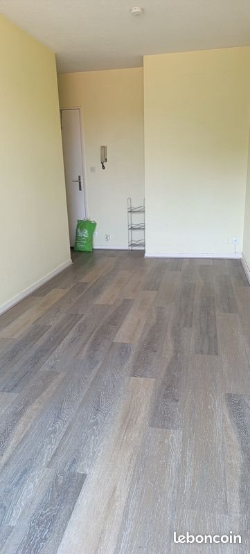 Appartement à louer, 23m², Albi