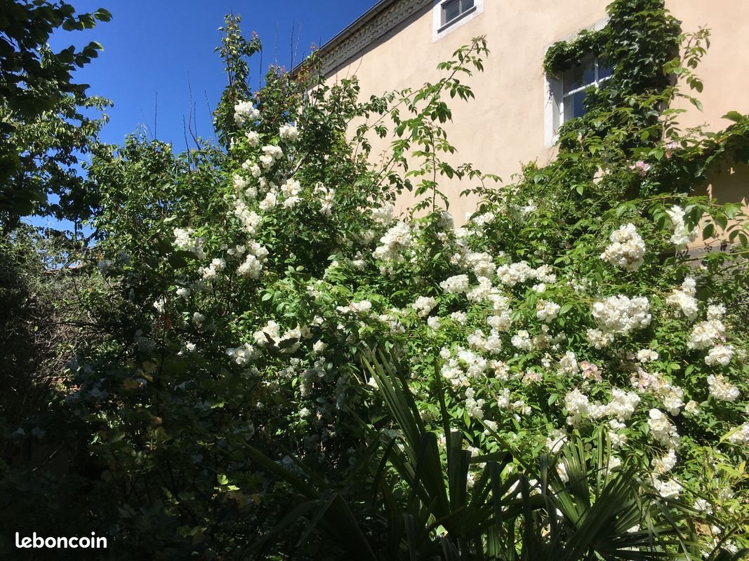 Maison à vendre, 310m², Le Crest