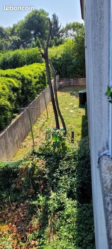 Appartement à louer, 125m², Restinclières