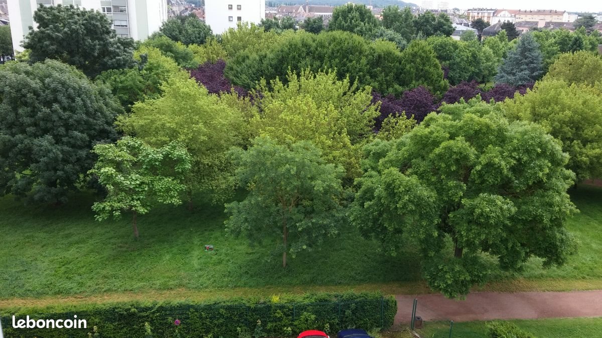 Appartement à louer, 22m², Thionville