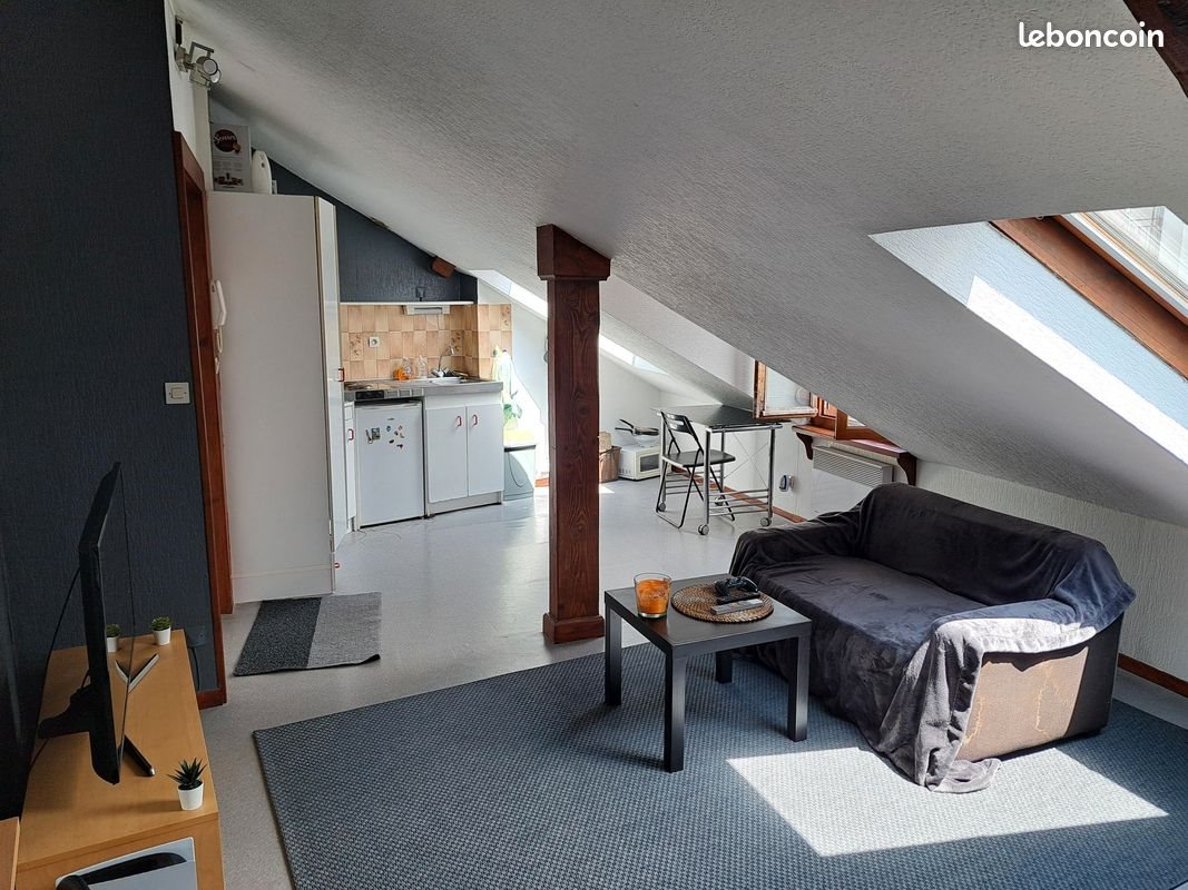 Appartement à louer, 25m², Saint-Étienne