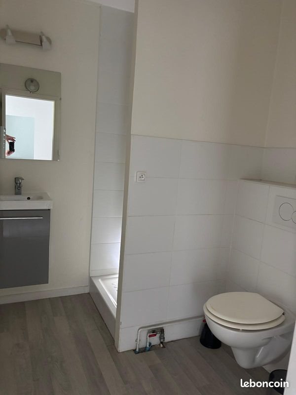 Appartement à louer, 55m², Caluire-et-Cuire