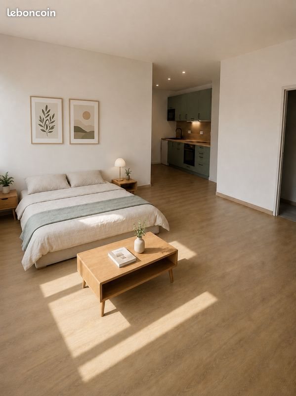 Appartement à louer, 27m², Saint-Étienne