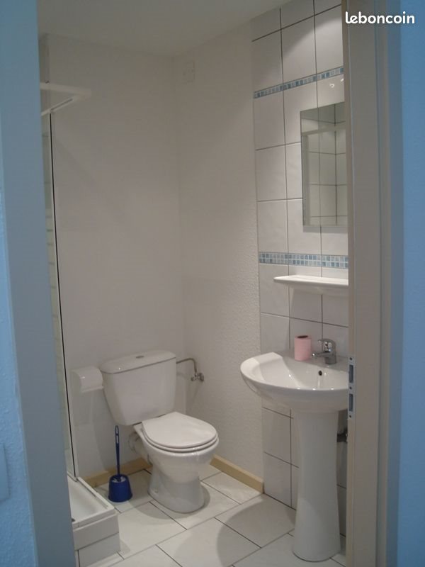 Appartement à louer, 22m², Colmar