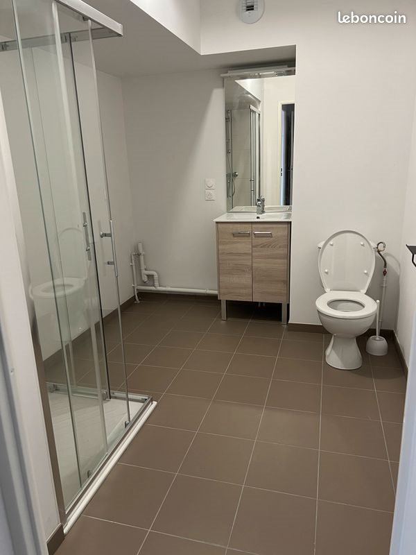 Appartement à louer, 43m², Lille