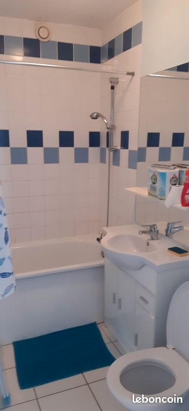 Appartement à louer, 21m², Lille