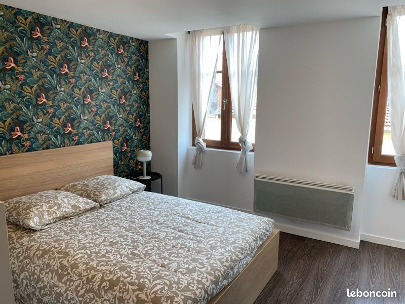 Appartement à louer, 52m², Saint-Etienne