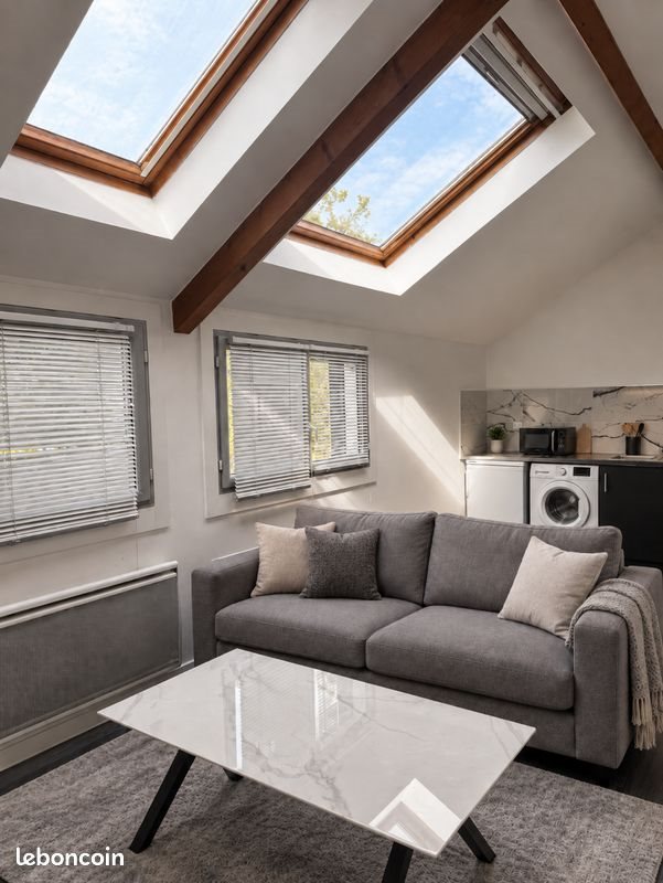 Appartement à louer, 46m², Nogent-sur-Marne