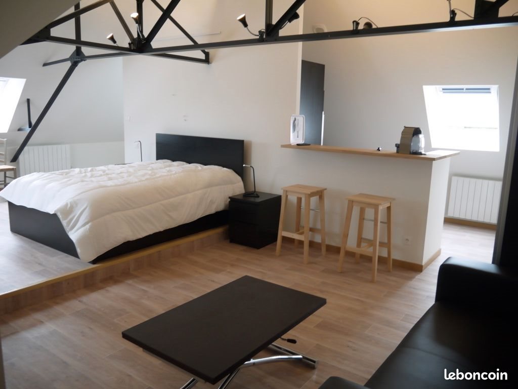 Appartement à louer, 50m², Olivet