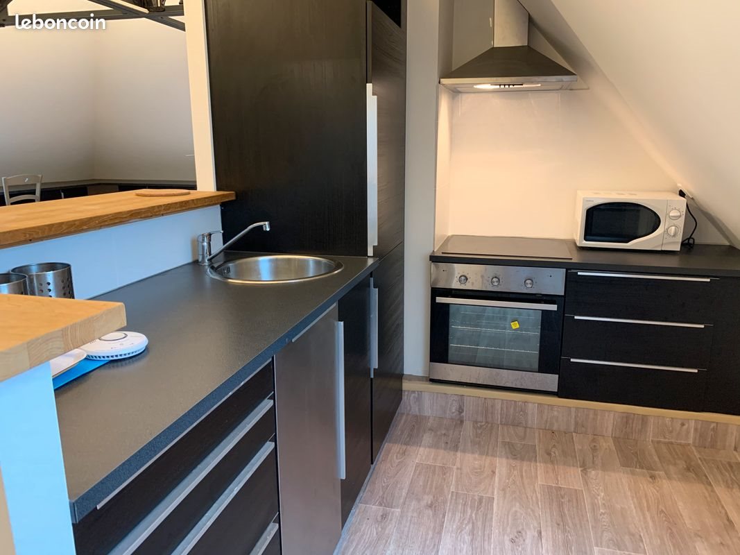 Appartement à louer, 50m², Olivet