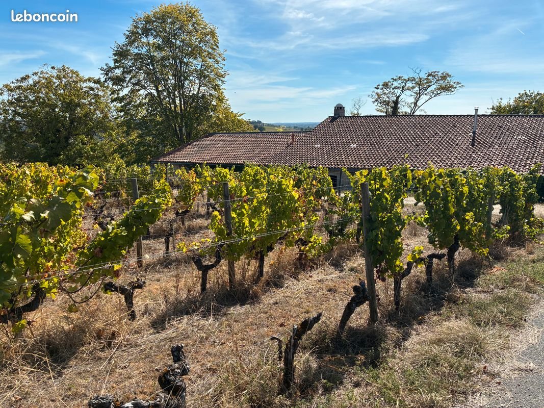 Maison à louer, 100m², Sainte-Croix-du-Mont