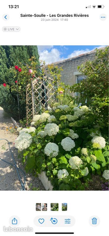 Maison à louer, 55m², Sainte-Soulle