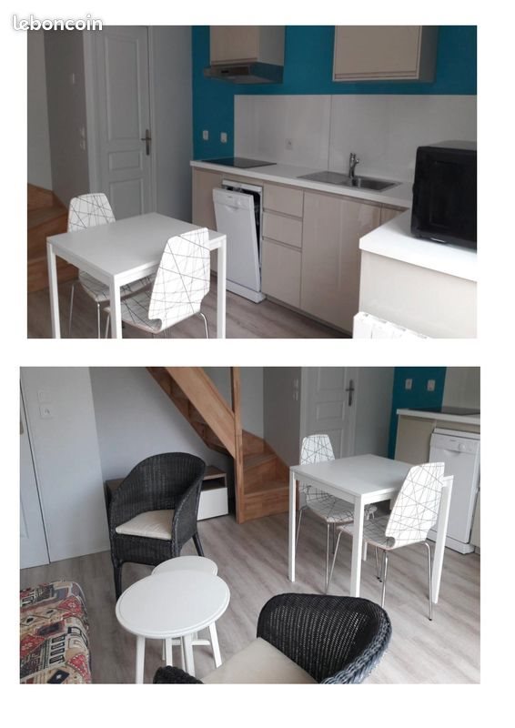 Appartement à louer, 50m², Tours