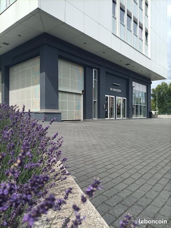 Appartement à louer, 21m², Strasbourg