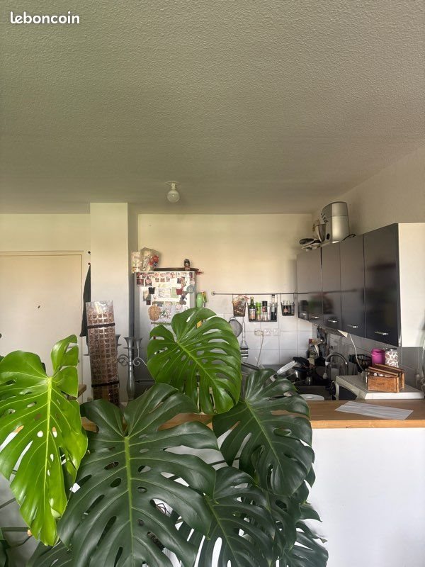 Appartement à louer, 50m², Montpellier
