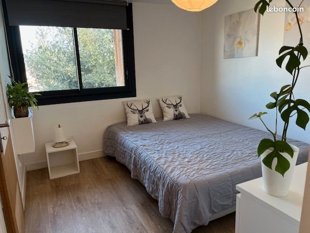 Appartement à louer, 38m², Mauguio