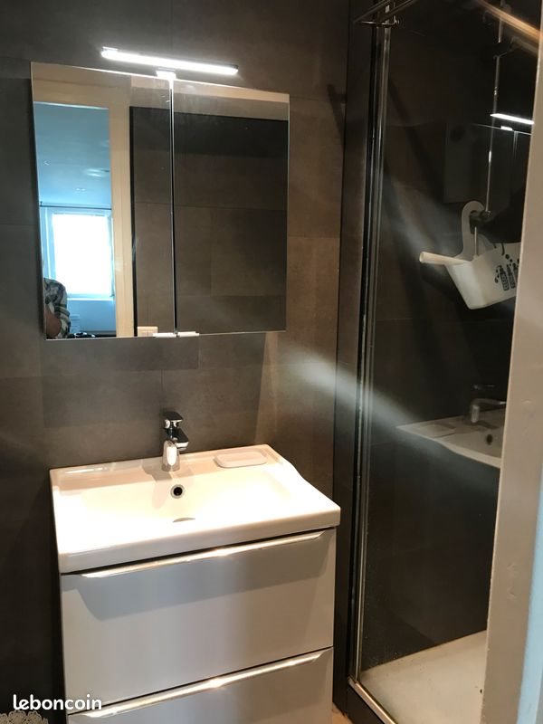 Appartement à louer, 40m², Saint-Didier-au-Mont-d'Or