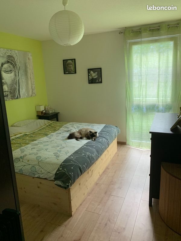 Appartement à louer, 66m², Schiltigheim
