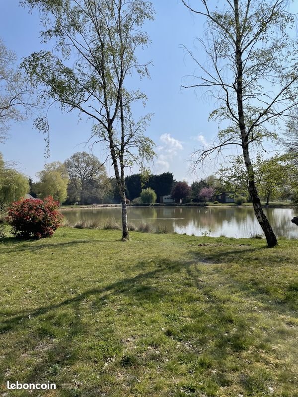 Maison à vendre, 250m², Lion-en-Sullias