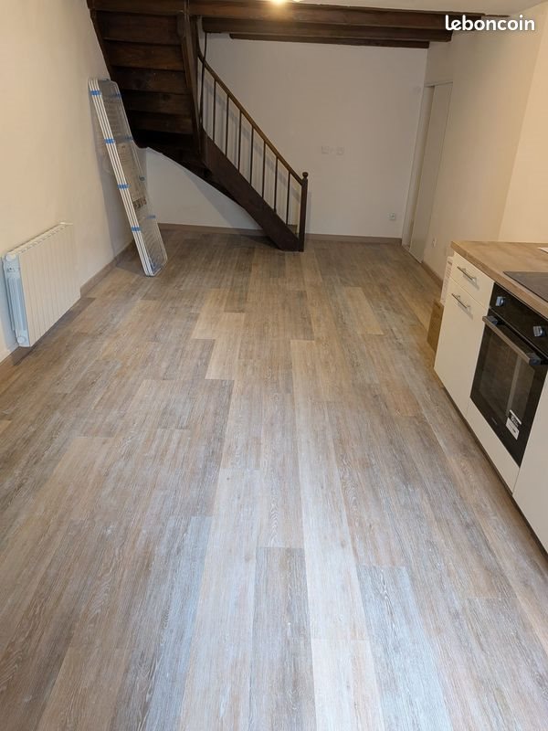 Appartement à louer, 50m², Culoz