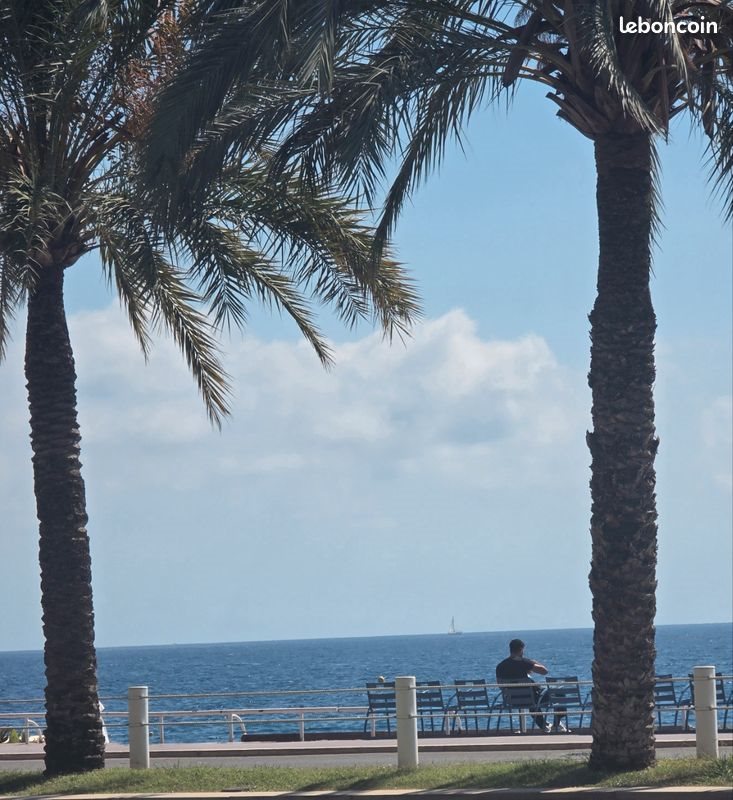 Appartement à louer, 40m², Nice