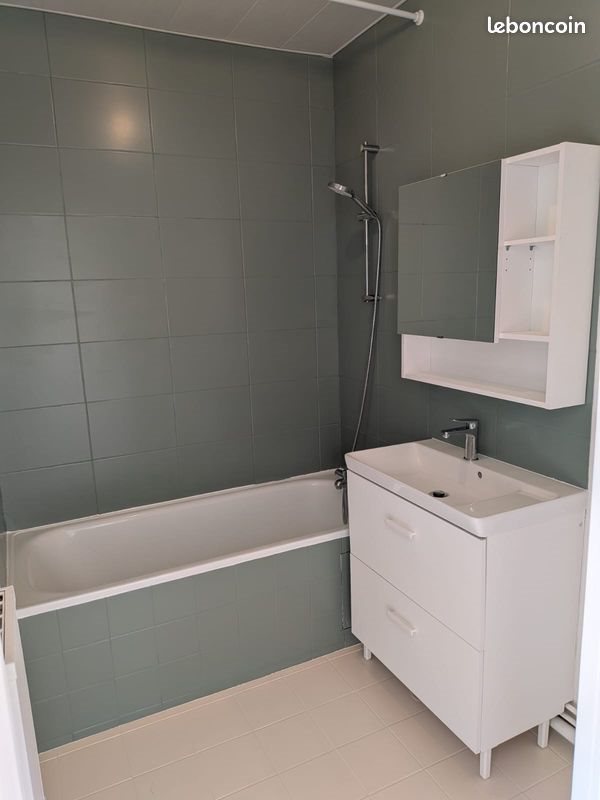 Appartement à louer, 36m², Lyon 7ème