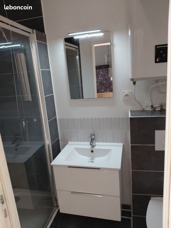 Appartement à louer, 15m², Villeurbanne