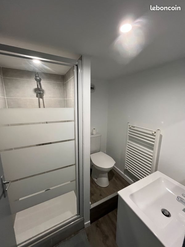 Appartement à louer, 35m², Saint-Etienne