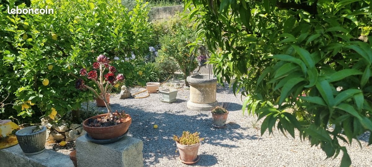 Maison à louer, 100m², Cagnes-sur-Mer