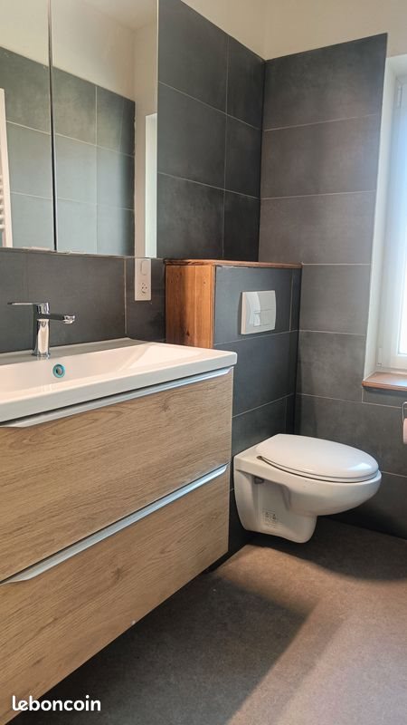 Appartement à louer, 45m², Waldighofen