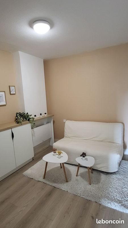 Appartement à louer, 25m², Roanne
