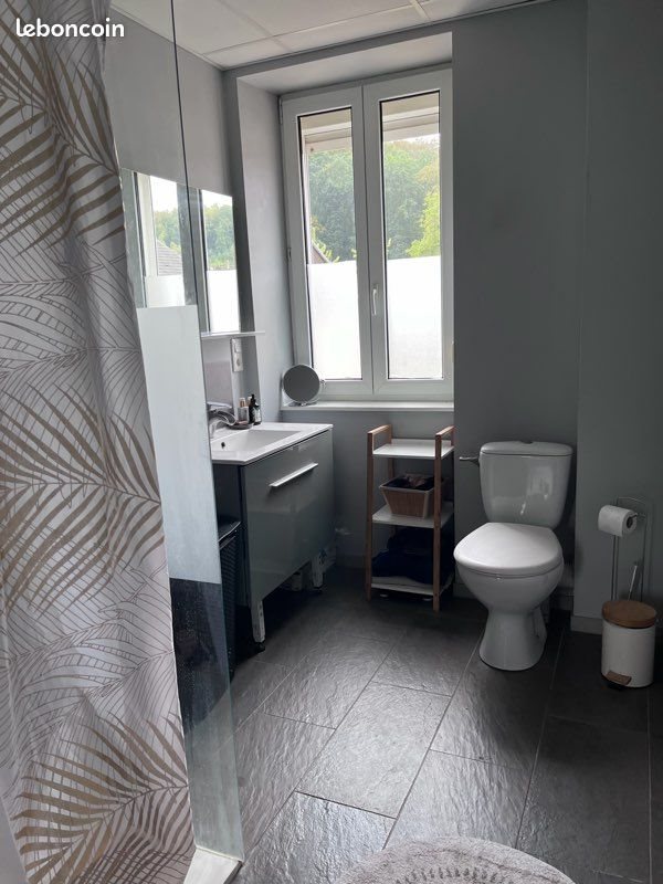 Appartement à louer, 50m², Béning-lès-Saint-Avold