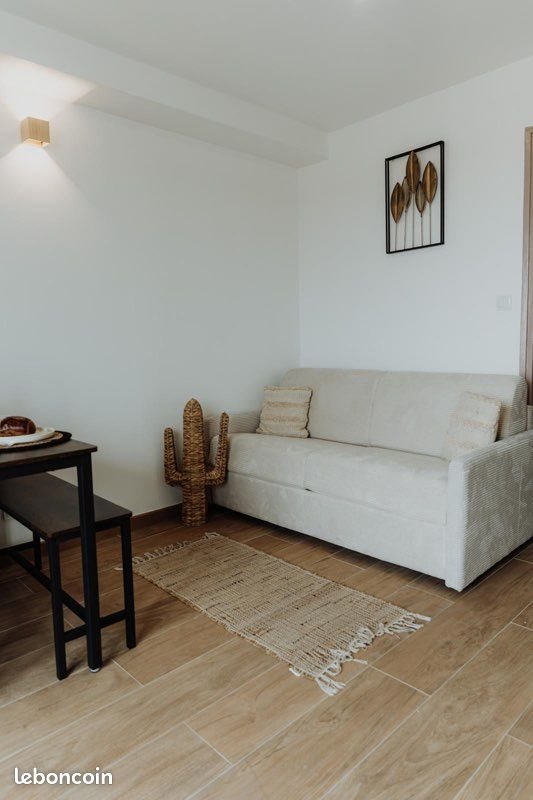 Appartement à louer, 30m², Saint-Cyprien