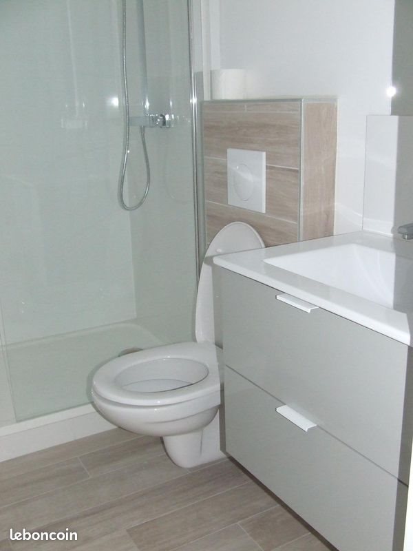 Appartement à louer, 22m², Lyon 8ème