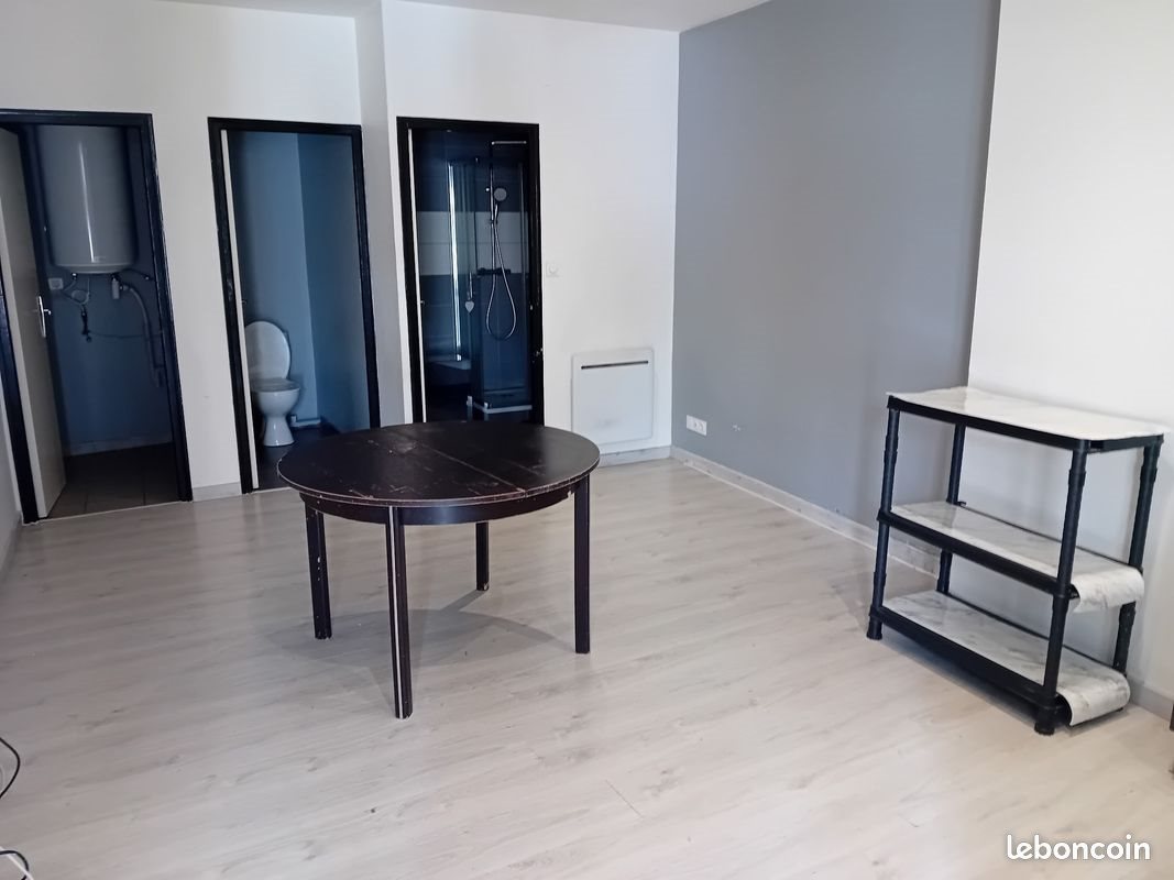 Appartement à louer, 38m², Saint-Etienne