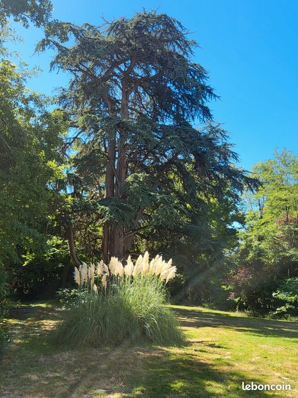 Maison à vendre, 350m², Nogaro