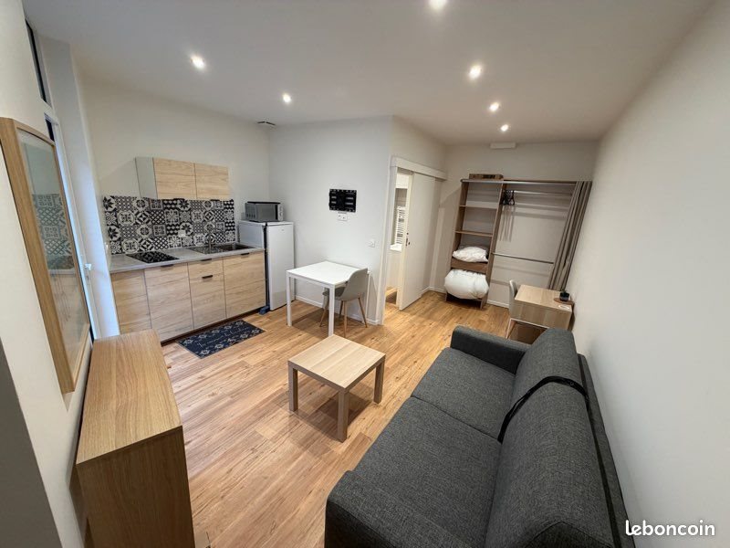 Appartement à louer, 21m², Saint-Etienne