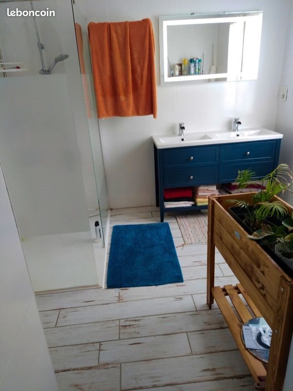 Maison à vendre, 197m², Saint-Sulpice-la-Pointe