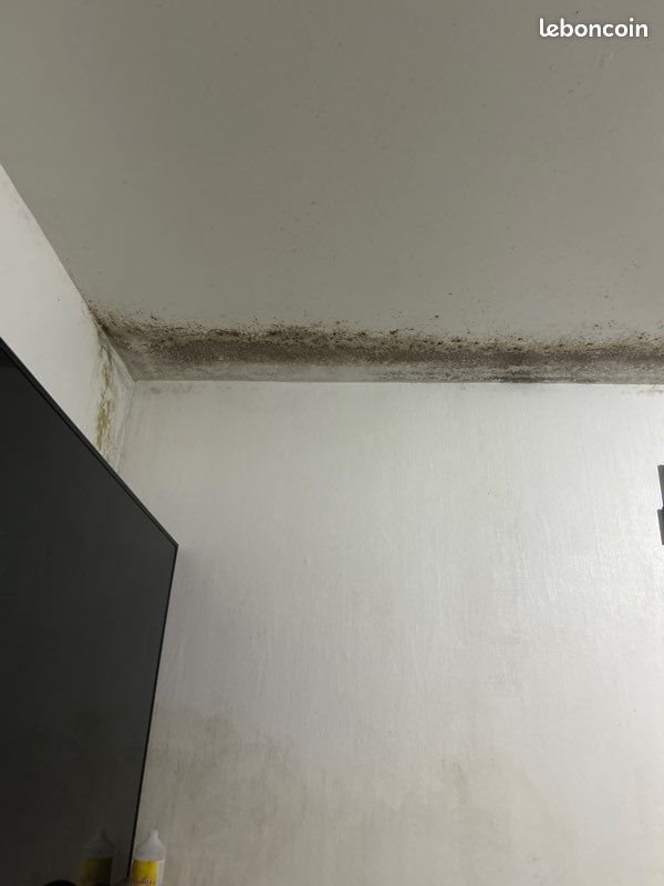 Maison à louer, 70m², Le Champ-Saint-Père
