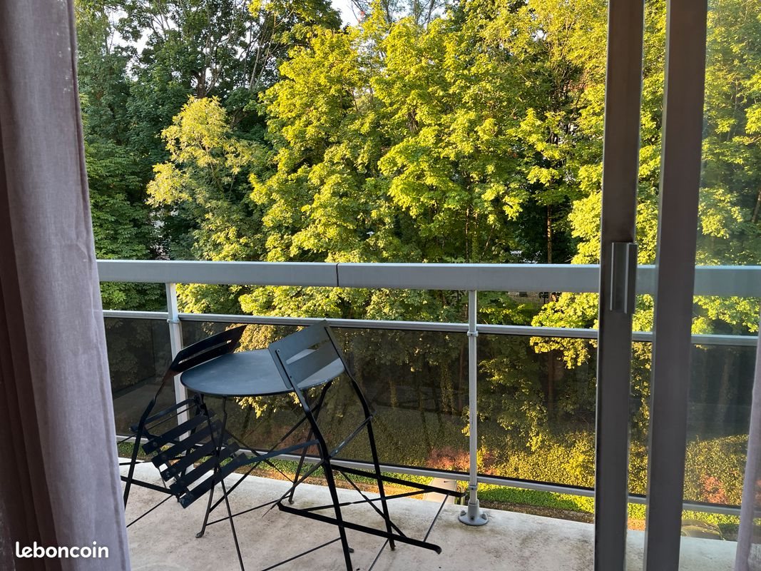 Appartement à louer, 25m², Nancy