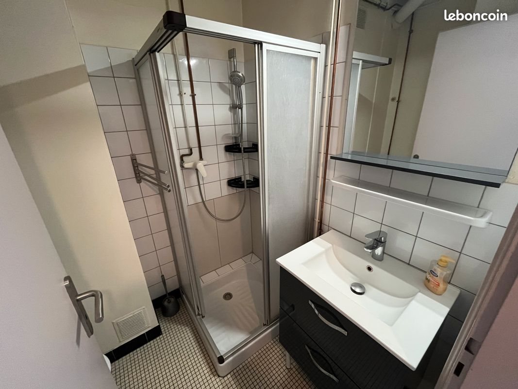 Appartement à louer, 29m², Colmar