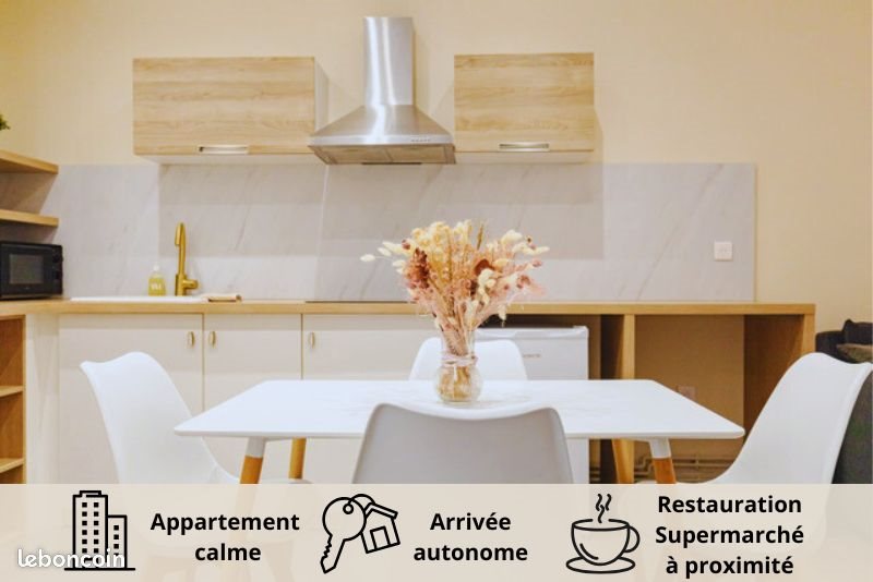 Appartement à louer, 47m², Roanne