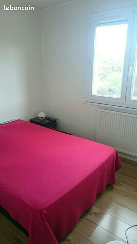 Appartement à louer, 55m², Meylan