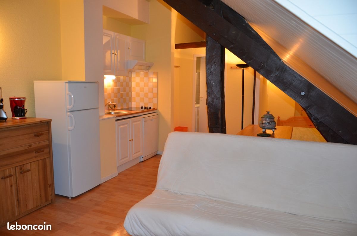 Appartement à louer, 23m², Luz-Saint-Sauveur