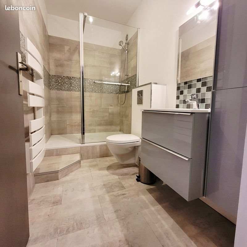 Appartement à louer, 46m², Reims