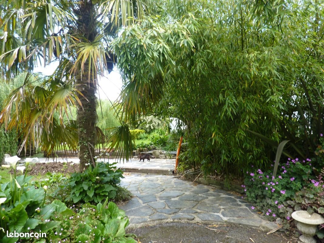 Maison à louer, 43m², Edern