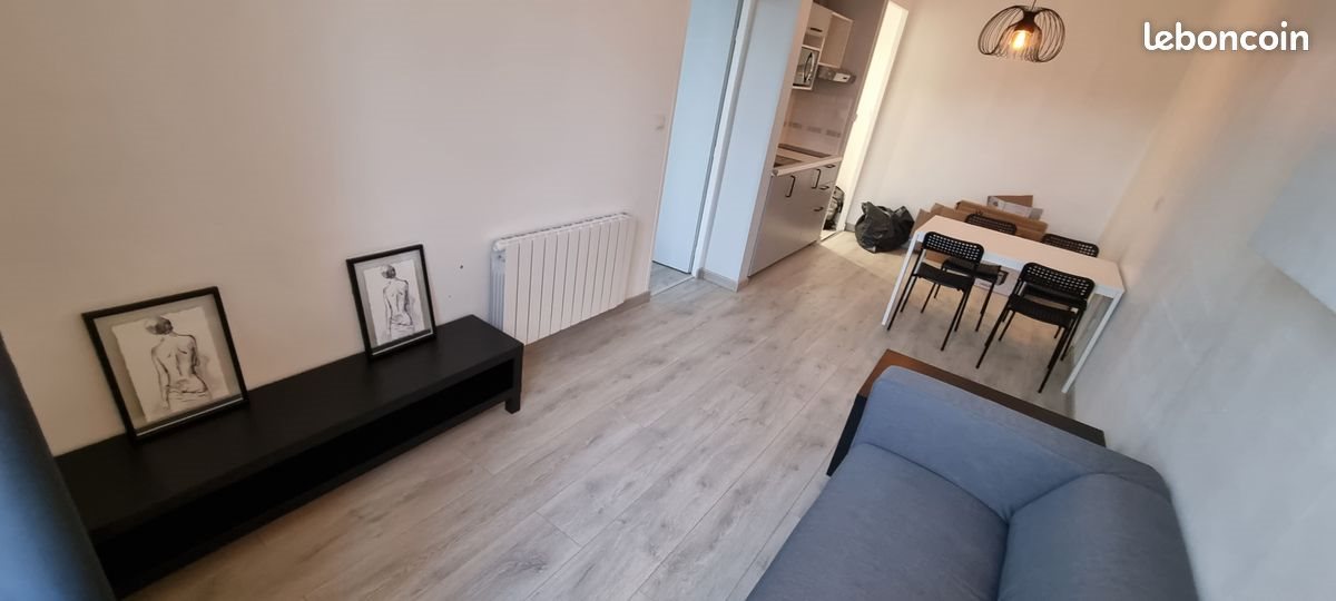 Appartement à louer, 38m², Lyon 7ème